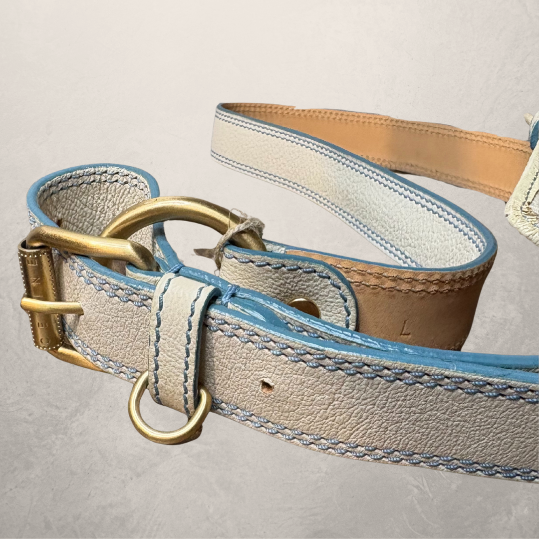 Celine blue/white with gold hardware belt bag OS
