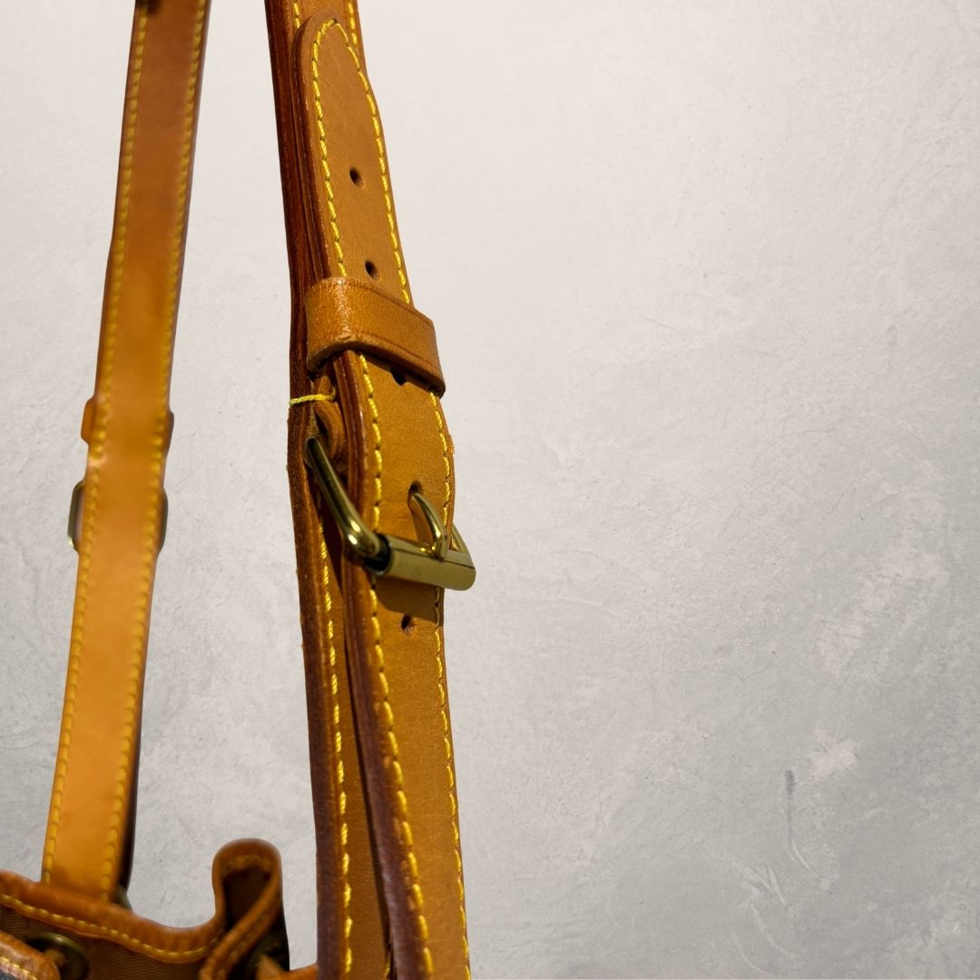 Louis Vuitton bruine Petit Noe-tas met monogram - van Romae Studios